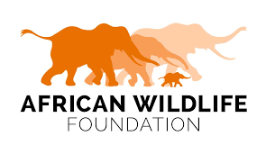 African Wildlife Foundation (AWF)